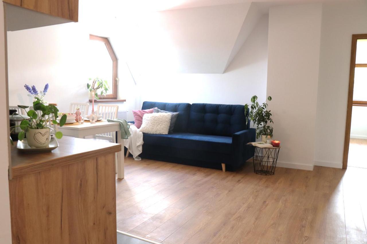 Apartamenty Pardalowka 50 Закопане Екстер'єр фото